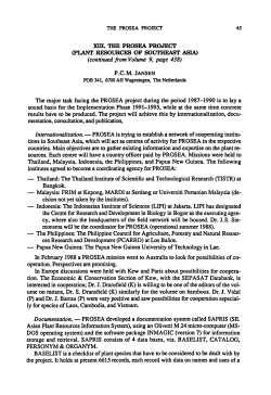 sound basis for the Implementation Phase 1991