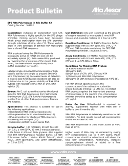 SP6 RNA Polymerase in Tris Buffer Kit Catalog Number: J65792