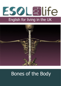 Bones of the Body