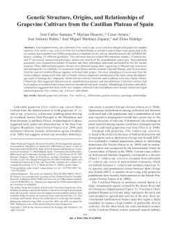 Genetic Structure, Origins, and Relationships of Grapevine Cultivars