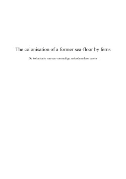 The colonisation of a former sea-floor by ferns