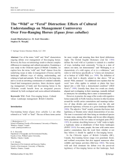 The “Wild” or “Feral”