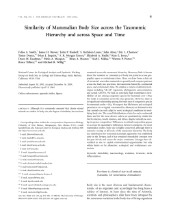 Similarity of Mammalian Body Size across the Taxonomic