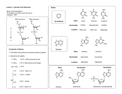 Lecture 1 Nucleic Acid Structure