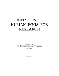 donation of human eggs for research