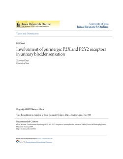 Involvement of purinergic P2X and P2Y2 receptors in urinary