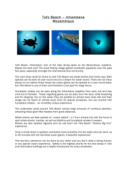 Tofo Beach_diving_2015_lh - AQUA