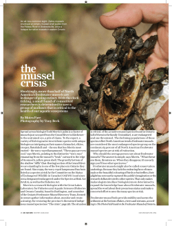 Shockingly, more than half of North America`s freshwater mussels