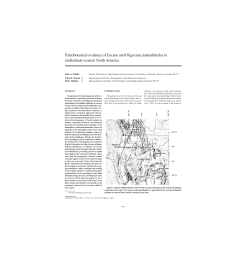 Paleobotanical evidence of Eocene and