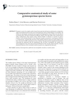 Comparative anatomical study of some gymnospermae species leaves