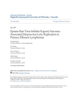 Epstein-Barr Virus Inhibits Kaposi`s Sarcoma