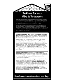 Backbone Bonanza Mina de Vertebrados