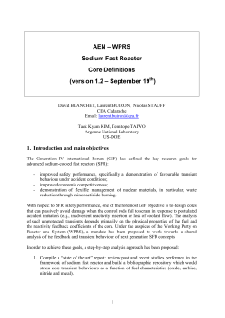 AEN &ndash; WPRS Sodium Fast Reactor Core Definitions (version 1.2