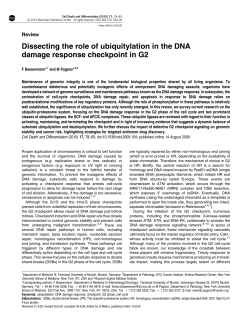 Dissecting the role of ubiquitylation in the DNA damage response