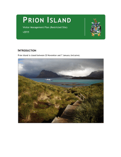 prion island - South Georgia and the South Sandwich Islands