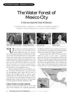 The Water Forest of Mexico City