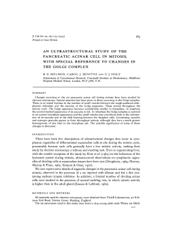 an ultrastructural study of the pancreatic acinar cell in mitosis, with