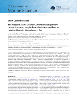 The Western Maine Coastal Current reduces primary production