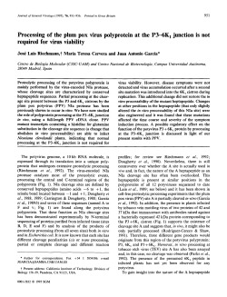 Processing of the plum pox virus polyprotein at the P3 6K1 junction