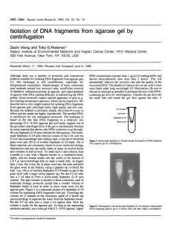 Isolation of DNA fragments from agarose gel by centrifugation