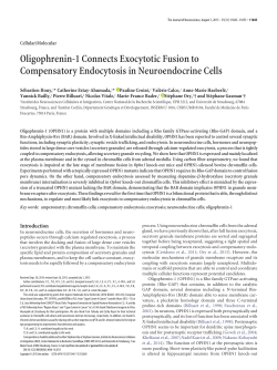 Oligophrenin-1 Connects Exocytotic Fusion to Compensatory