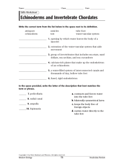 Echinoderms and Invertebrate Chordates