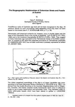 The Biogeographic Relationships of Ordovician Strata and