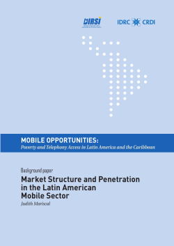 Market Structure and Penetration in the Latin American Mobile Sector