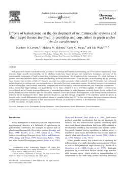 Effects of testosterone on the development of neuromuscular