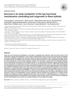 Sucrose is an early modulator of the key hormonal mechanisms