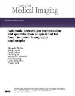 Automatic pericardium segmentation and quantification of epicardial