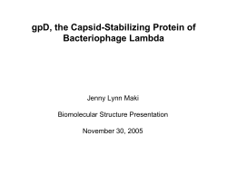 gpD, the Capsid-Stabilizing Protein of Bacteriophage Lambda