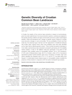 Genetic Diversity of Croatian Common Bean Landraces