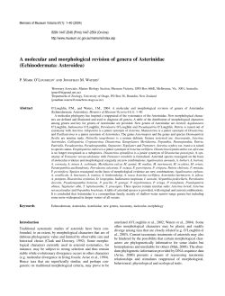 A molecular and morphological revision of
