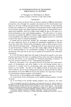 as a PDF