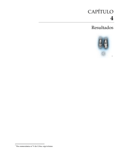 Chromosomal homologies between humans and Cebus apella