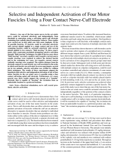 Selective and Independent Activation of Four Motor Fascicles Using