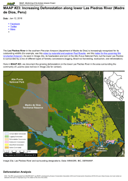 MAAP #23: Increasing Deforestation along lower Las Piedras River