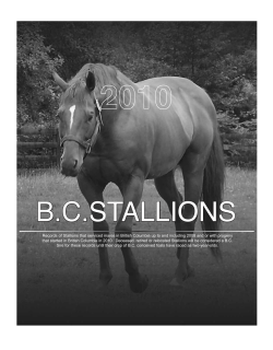 2010 stallion records