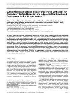 Sulfite Reductase Defines a Newly Discovered Bottleneck for