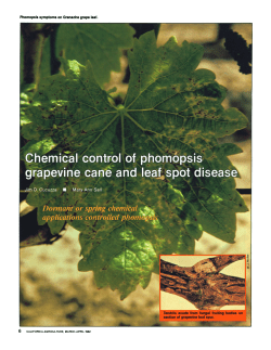Chemical control of phomopsis grapevine cane and leaf spot disease