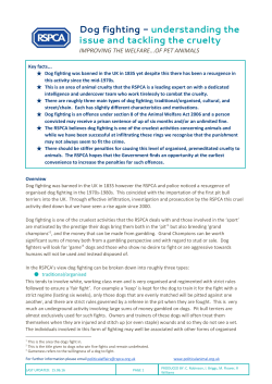 Dog fighting - understanding the issue and tackling the cruelty
