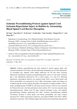Ischemic Preconditioning Protects against Spinal Cord Ischemia