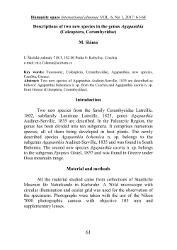 Descriptions of two new species in the genus Agapanthia