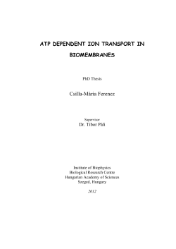 ATP dependent ion transport in biomembranes