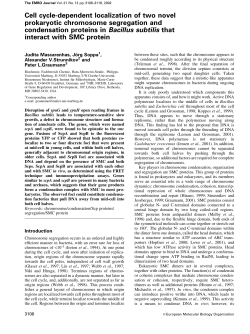 Cell cycledependent localization of two novel prokaryotic