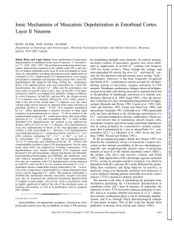 Ionic Mechanisms of Muscarinic Depolarization in Entorhinal Cortex