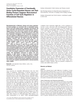 Constitutive Expression of Functionally Active Cyclin
