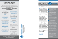 2013 Annual Report - Delaware