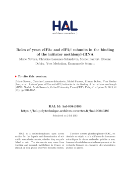 Roles of yeast eIF2 and eIF2 subunits in the binding of the initiator